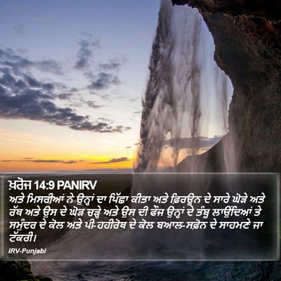 ਖ਼ਰੋਜ 14:9 PANIRV Bible Verse Image