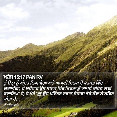 ਖ਼ਰੋਜ 15:17 PANIRV Bible Verse Image