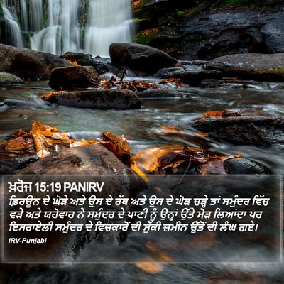 ਖ਼ਰੋਜ 15:19 PANIRV Bible Verse Image