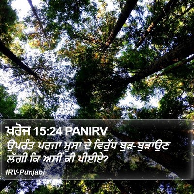 ਖ਼ਰੋਜ 15:24 PANIRV Bible Verse Image