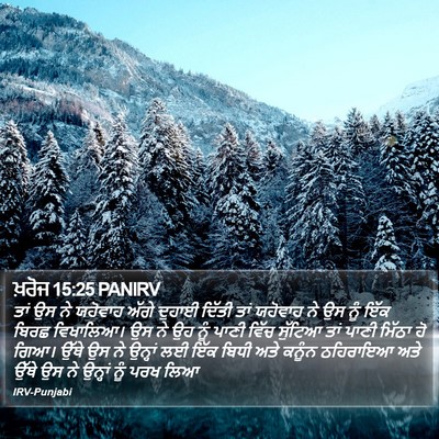 ਖ਼ਰੋਜ 15:25 PANIRV Bible Verse Image