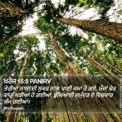 ਖ਼ਰੋਜ 15:8 PANIRV Bible Verse Image