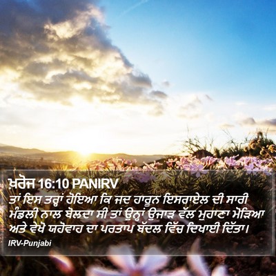 ਖ਼ਰੋਜ 16:10 PANIRV Bible Verse Image