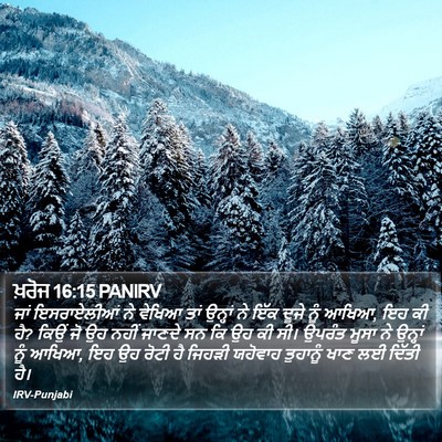 ਖ਼ਰੋਜ 16:15 PANIRV Bible Verse Image