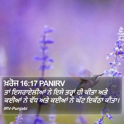 ਖ਼ਰੋਜ 16:17 PANIRV Bible Verse Image