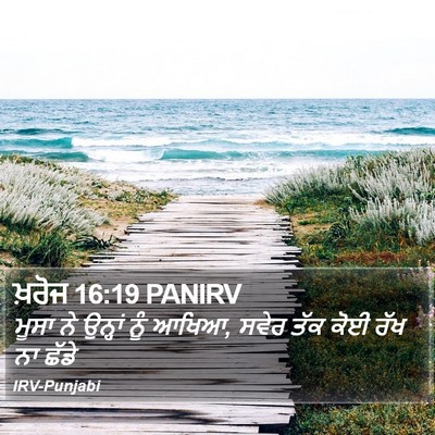 ਖ਼ਰੋਜ 16:19 PANIRV Bible Verse Image
