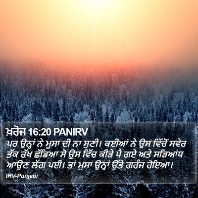 ਖ਼ਰੋਜ 16:20 PANIRV Bible Verse Image