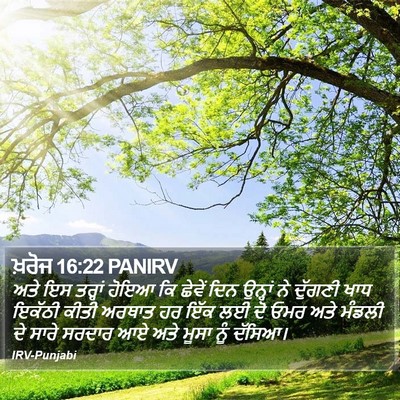 ਖ਼ਰੋਜ 16:22 PANIRV Bible Verse Image