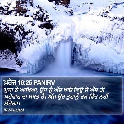 ਖ਼ਰੋਜ 16:25 PANIRV Bible Verse Image