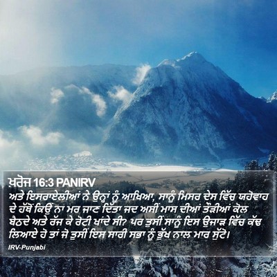 ਖ਼ਰੋਜ 16:3 PANIRV Bible Verse Image