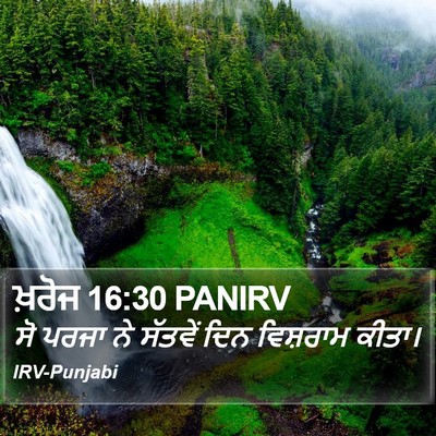 ਖ਼ਰੋਜ 16:30 PANIRV Bible Verse Image