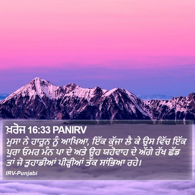 ਖ਼ਰੋਜ 16:33 PANIRV Bible Verse Image