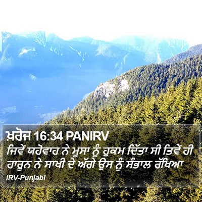 ਖ਼ਰੋਜ 16:34 PANIRV Bible Verse Image