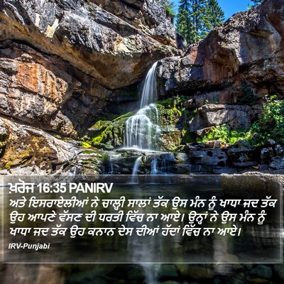ਖ਼ਰੋਜ 16:35 PANIRV Bible Verse Image