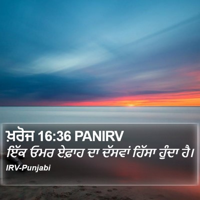ਖ਼ਰੋਜ 16:36 PANIRV Bible Verse Image