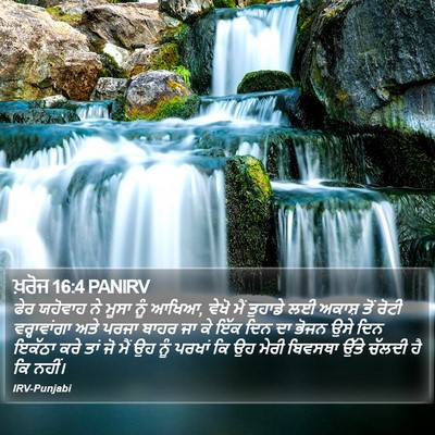 ਖ਼ਰੋਜ 16:4 PANIRV Bible Verse Image