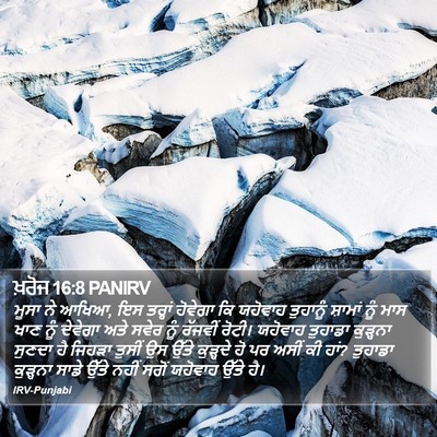 ਖ਼ਰੋਜ 16:8 PANIRV Bible Verse Image