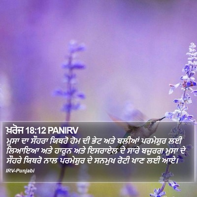 ਖ਼ਰੋਜ 18:12 PANIRV Bible Verse Image