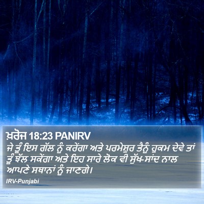 ਖ਼ਰੋਜ 18:23 PANIRV Bible Verse Image