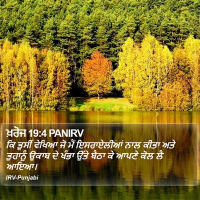 ਖ਼ਰੋਜ 19:4 PANIRV Bible Verse Image
