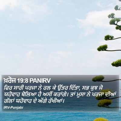 ਖ਼ਰੋਜ 19:8 PANIRV Bible Verse Image