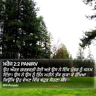 ਖ਼ਰੋਜ 2:2 PANIRV Bible Verse Image