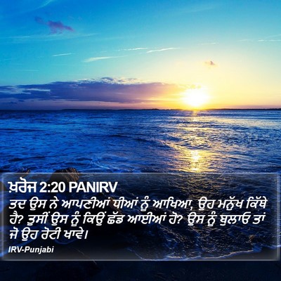 ਖ਼ਰੋਜ 2:20 PANIRV Bible Verse Image
