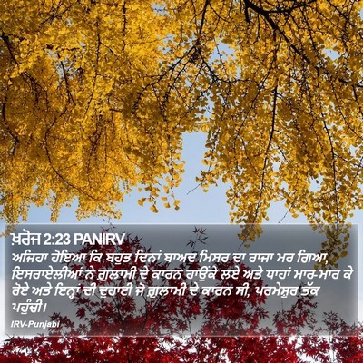 ਖ਼ਰੋਜ 2:23 PANIRV Bible Verse Image