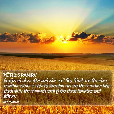 ਖ਼ਰੋਜ 2:5 PANIRV Bible Verse Image