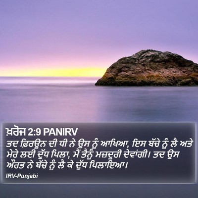 ਖ਼ਰੋਜ 2:9 PANIRV Bible Verse Image