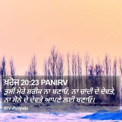 ਖ਼ਰੋਜ 20:23 PANIRV Bible Verse Image