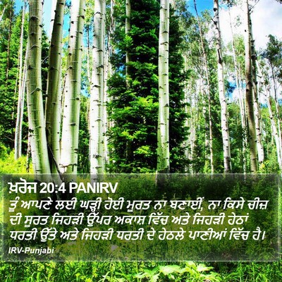 ਖ਼ਰੋਜ 20:4 PANIRV Bible Verse Image