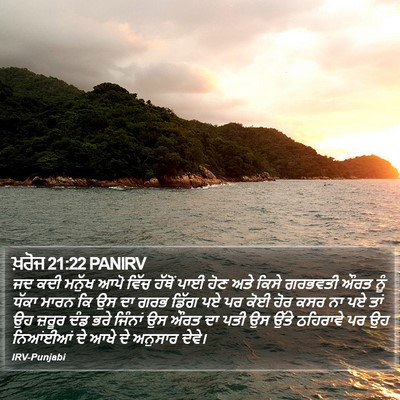 ਖ਼ਰੋਜ 21:22 PANIRV Bible Verse Image
