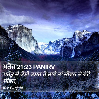 ਖ਼ਰੋਜ 21:23 PANIRV Bible Verse Image