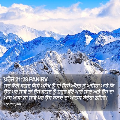 ਖ਼ਰੋਜ 21:28 PANIRV Bible Verse Image