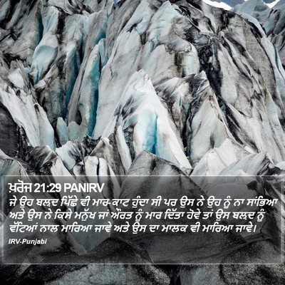 ਖ਼ਰੋਜ 21:29 PANIRV Bible Verse Image