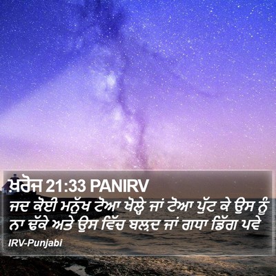 ਖ਼ਰੋਜ 21:33 PANIRV Bible Verse Image