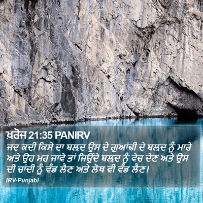 ਖ਼ਰੋਜ 21:35 PANIRV Bible Verse Image