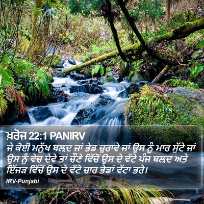 ਖ਼ਰੋਜ 22:1 PANIRV Bible Verse Image