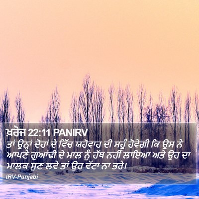 ਖ਼ਰੋਜ 22:11 PANIRV Bible Verse Image