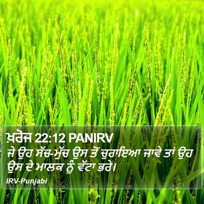 ਖ਼ਰੋਜ 22:12 PANIRV Bible Verse Image