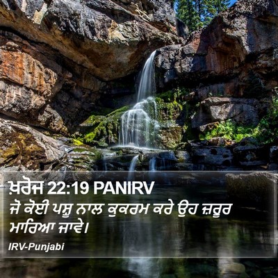 ਖ਼ਰੋਜ 22:19 PANIRV Bible Verse Image