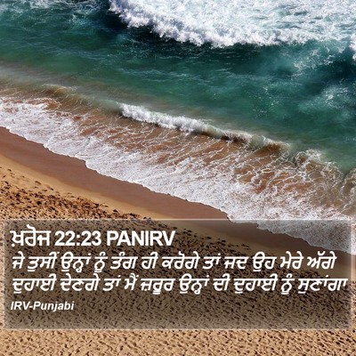 ਖ਼ਰੋਜ 22:23 PANIRV Bible Verse Image