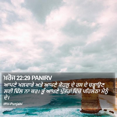 ਖ਼ਰੋਜ 22:29 PANIRV Bible Verse Image