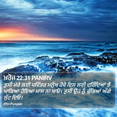 ਖ਼ਰੋਜ 22:31 PANIRV Bible Verse Image