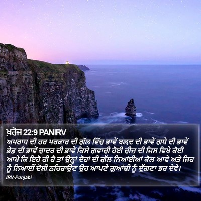 ਖ਼ਰੋਜ 22:9 PANIRV Bible Verse Image