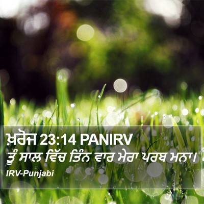 ਖ਼ਰੋਜ 23:14 PANIRV Bible Verse Image