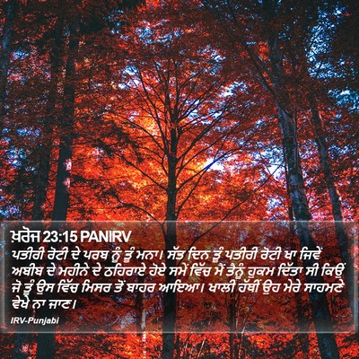 ਖ਼ਰੋਜ 23:15 PANIRV Bible Verse Image