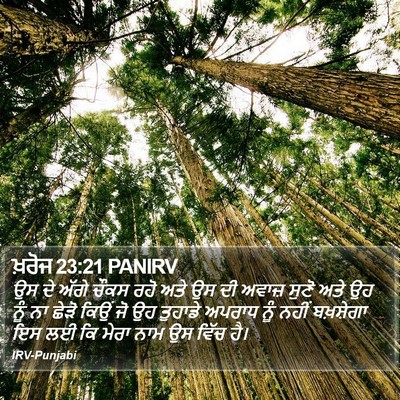 ਖ਼ਰੋਜ 23:21 PANIRV Bible Verse Image