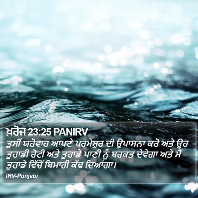 ਖ਼ਰੋਜ 23:25 PANIRV Bible Verse Image